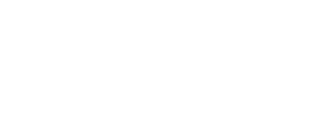 logo Nordpass